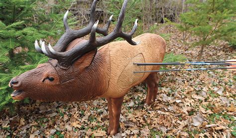 best 3d archery target reviews.